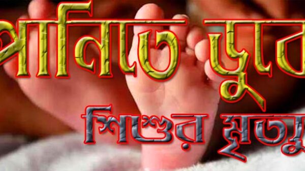 বিয়ের অনুষ্ঠানে এসে পানিতে ডুবে শিশুর মৃত্যু