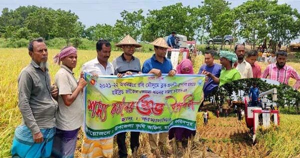 মধুখালীতে শস্য কর্তননের উদ্বোধন