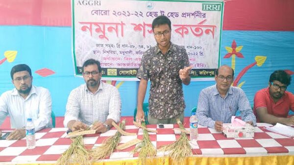 মধুখালীতে নমুনা শস্য কর্তন উদ্বোধন