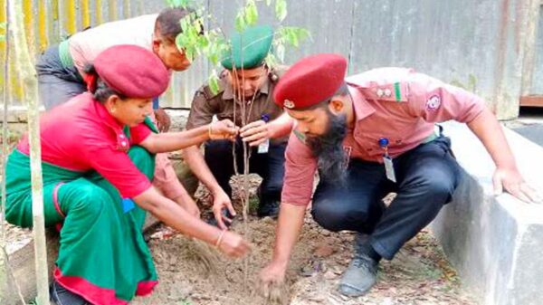 মধুখালীতে আনসার বাহিনীর উদ্যোগে বৃক্ষ রোপন