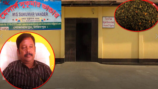 তিল চাষে বিষেশ অবদান রাখছেন সুকুমার ভান্ডার