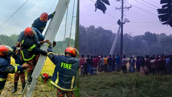ফরিদপুরে ট্রান্সমিটার চুরি করতে গিয়ে একজন নিহত