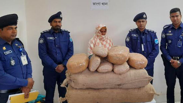 ২০ লাখ মূল্যের গাঁজাসহ এক নারী আটক