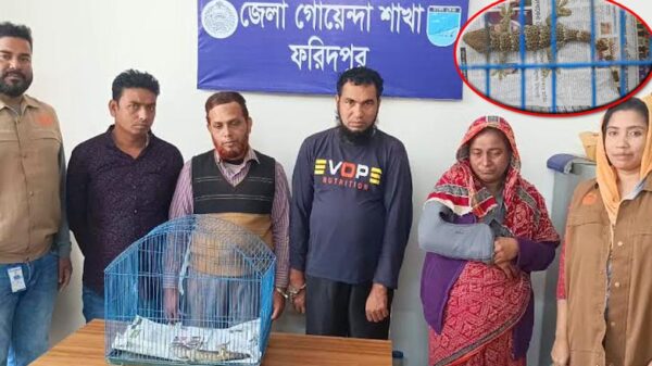 কোটি টাকার 'তক্ষক'সহ পাচার চক্রের চার সদস্য গ্রেফতার
