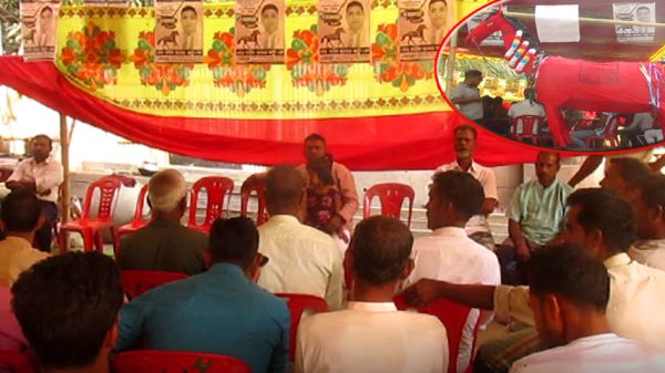 চরমাধবদিয়া ইউপি নির্বাচনে গণসংযোগে এগিয়ে চেয়ারম্যান প্রার্থী ঝন্টু