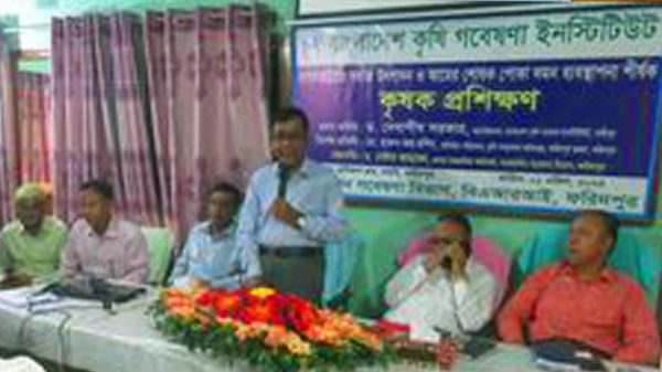 বসত বাড়ীতে সবজি উৎপাদন ও আমের পোকা দমনে কৃষক প্রশিক্ষণ