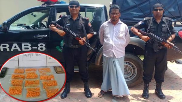 ফরিদপুরে ৪৮৯০ পিচ ইয়াবাসহ মাদক কারবারি গ্রেপ্তার