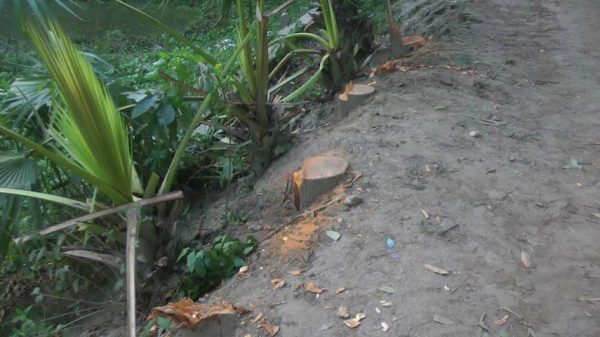 ভাঙ্গায় হতদরিদ্রের জায়গা জোরপুর্বক দখল চেষ্টার অভিযোগ