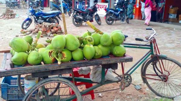 ভোক্তা অধিদপ্তরের লোক দেখে ডাবসহ ভ্যান রেখে পালালো ব্যবসায়ী