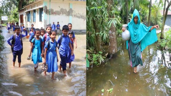 ফরিদপুর পৌরসভায় জলাবদ্ধতা দুর্ভোগে এলাকাবাসী : দুই মাস ধরে ডুবে আছে স্কুল-মসজিদসহ ৩০টি পরিবার