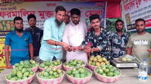 ফরিদপুরে দুইমাস ব্যাপী আম মেলার উদ্বোধন
