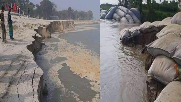 ফরিদপুরের পদ্মায় ভাঙন : ঝুঁকিতে ৩৫০ পরিবার