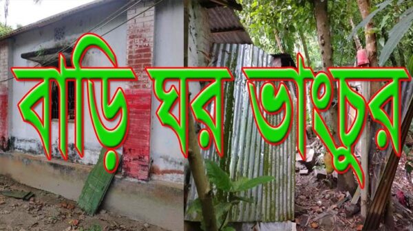 মধুখালীতে নির্বাচনের পরেই মেম্বরসহ আটক ৬