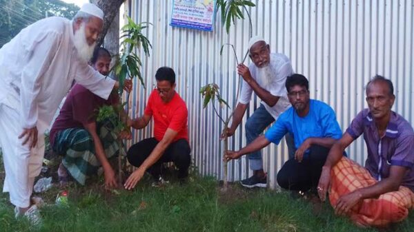 পদ্মা সেতুর উদ্বোধন উপলক্ষে সপ্তাহব্যাপী বৃক্ষ রোপন