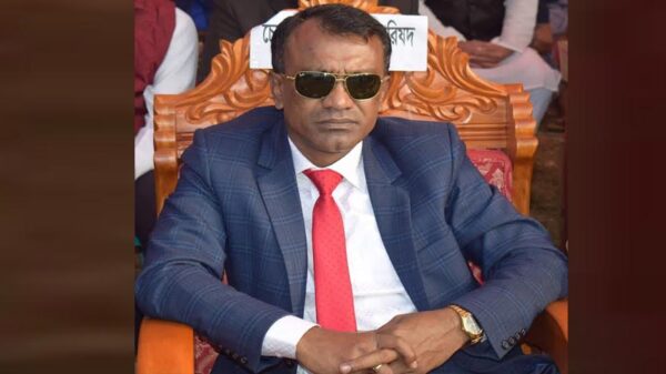 পদ্মা সেতু আমাদের সক্ষমতার দুঃসাহসীক অভিযান.....জাহিদুল ইসলাম