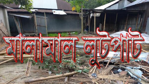 সালথা'র কাঠালবাড়িয়া গ্রামে মালামাল লুটপাট