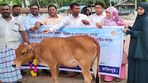 বিকল্প কর্মসংস্থান সৃষ্টির লক্ষ্যে ফরিদপুরে বকনা বাছুর বিতরণ