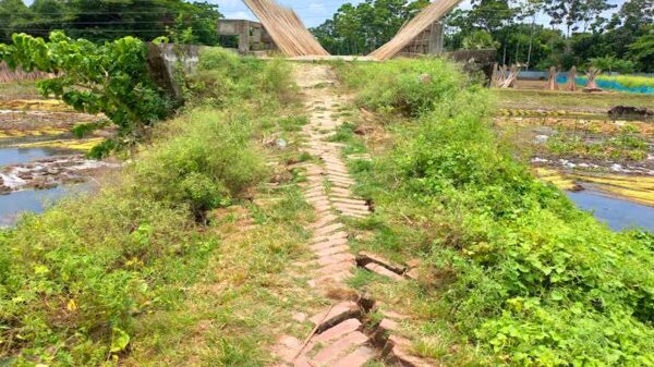 সালথা মালঞ্চ বিলের সংযোগ সড়কের বেহাল দশা