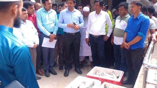 মা ইলিশ অভিযানে ষোল জেলেকে কারাদন্ড