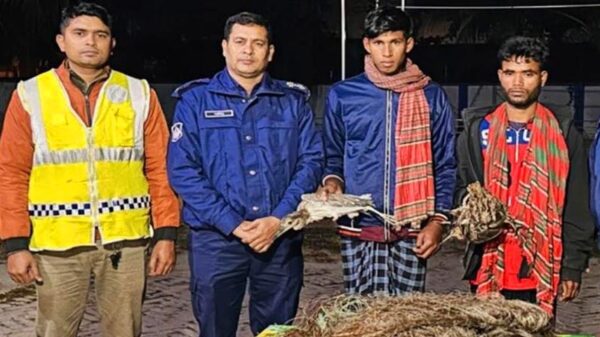 রাতের বেলায় পাখি শিকার : দুই যুবকের কারাদÐ