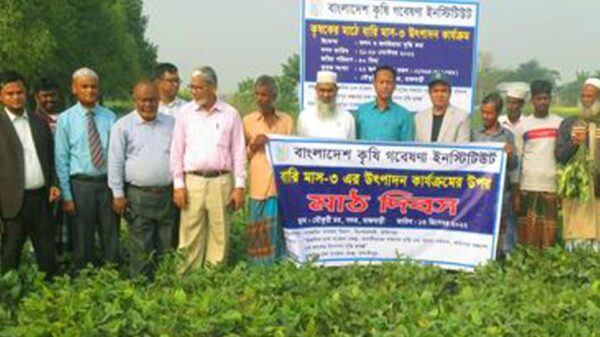 রাজবাড়ীতে উৎপাদন কার্যক্রমের উপর মাঠ দিবস অনুষ্ঠিত