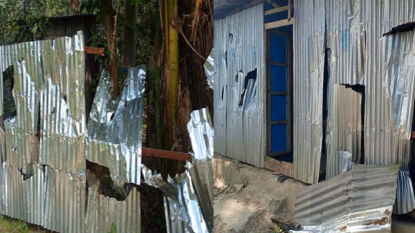 সালথায় নির্বাচনে হেরে নৌকার সমর্থকদের বাড়িতে হামলার অভিযোগ