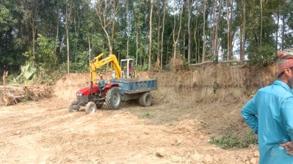 সালথায় ফসলি জমি ও বন উজার করে মাটি বিক্রির হিড়িক