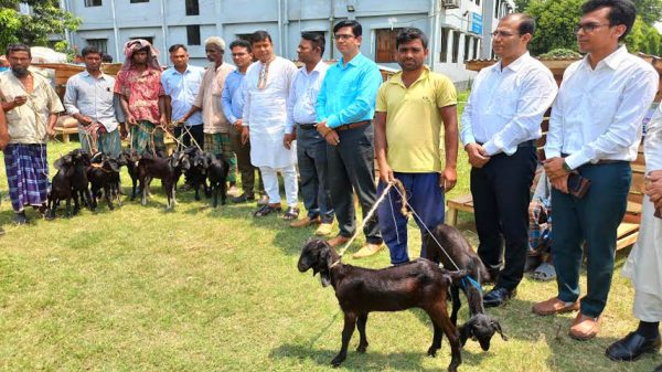 সালথায় জেলেদের মাঝে ছাগল ও জাল বিতরণ