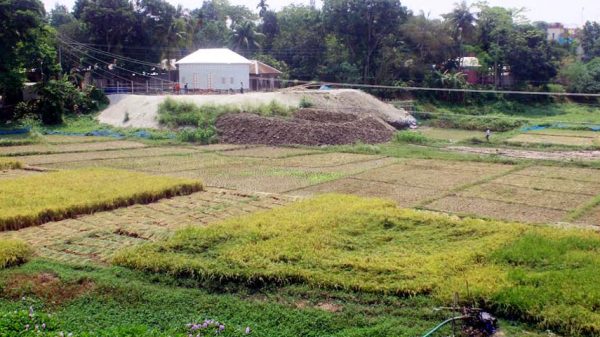 চরভদ্রাসনে বেদখলে চলে যাচ্ছে ভুবেনশ্বর নদ
