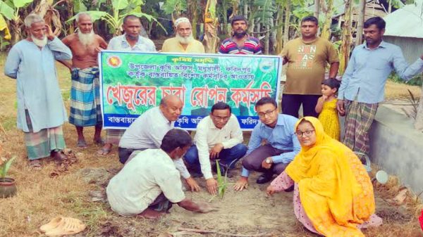 মধুখালীতে ১ লাখ ১০ হাজার খেজুরের চারা রোপন কর্মসূচীর উদ্বোধন