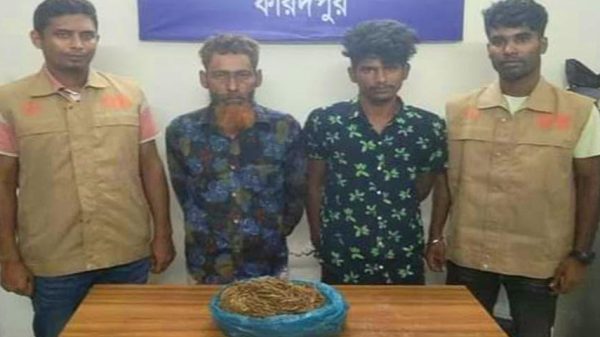 সালথায় গাঁজাসহ দুই মাদক বিক্রেতা আটক