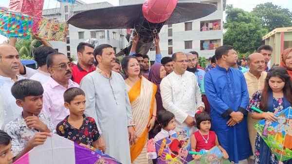 সালথায় বর্ণিল ঘুড়ি উৎসব অনুষ্ঠিত