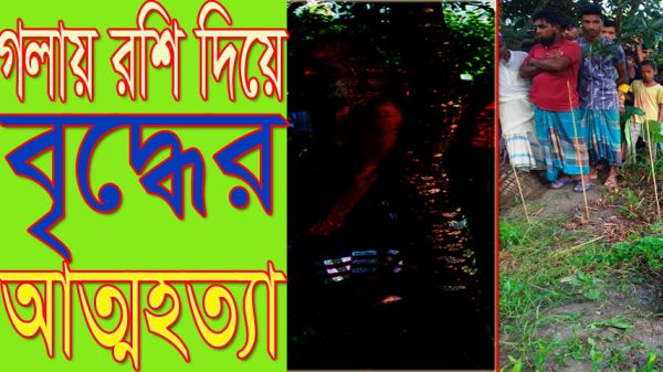 সালথায় আম গাছে থেকে বৃদ্ধের লাশ উদ্ধার