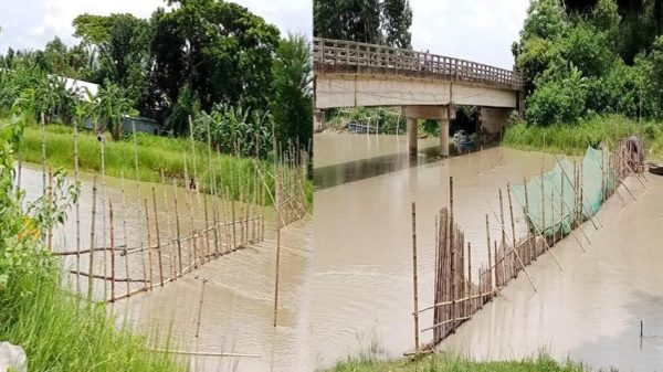 সদরপুরে অবাধে দেশীয় প্রজাতির ডিমওয়লা মাছ শিকার