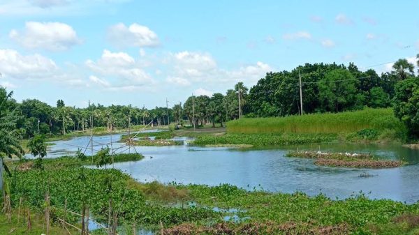 বিস্মৃত এক নদীর নাম মালঞ্চ