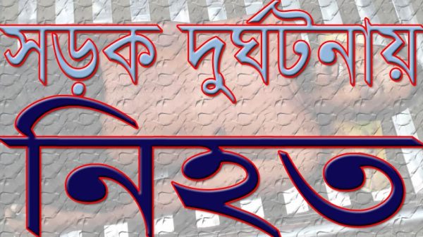 সালথায় ই‌জিবাইক-অটোভ‌্যা‌নের সংঘ‌র্ষে চালক নিহত