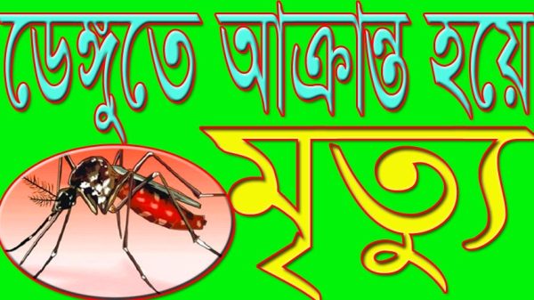 ডেঙ্গু আক্রান্তের সঙ্গে পাল্লা দিয়ে বাড়ছে মৃতের সংখ্যা : চিকিৎসাধীন অবস্থায় আরো দুই জনের মৃত্যু