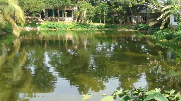 প্রভাবশালীদের দখলে মধুখালীর চন্দনা নদী