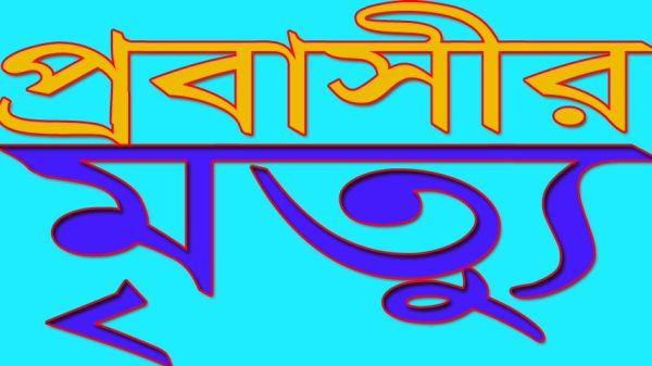 চোরের ছুরিকাঘাতে ১২ দিন পর প্রবাসীর মৃত্যু