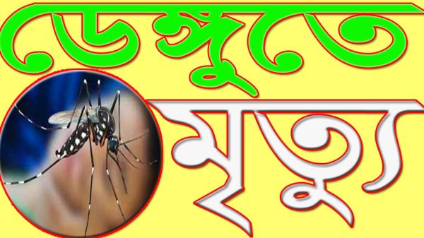 ফরিদপুরে ডেঙ্গুতে দুই জনের মৃত্যু : আক্রান্ত ২৯৬