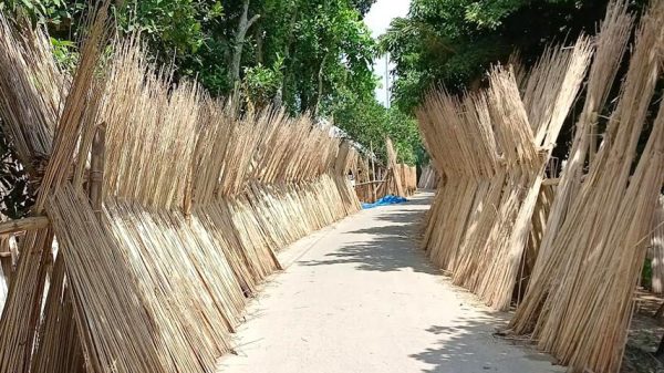 পাটে নয়, এবার খড়িতে সালথার কৃষকের মুখে হাঁসি