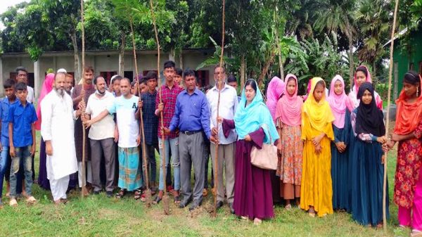 বোয়ালমারীতে শফিউদ্দীন আহমেদ স্কুল এন্ড কলেজে বৃক্ষ রোপন