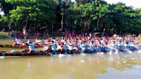 বোয়ালমারীর তেলজুড়ীতে ঐতিহাসিক নৌকা বাইচ অনুষ্ঠিত