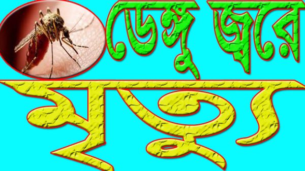 ফরিদপুরে ডেঙ্গু জ্বরে শিশু ও নারীসহ চারজনের মৃত্যু, নতুন আক্রান্ত ৮২১