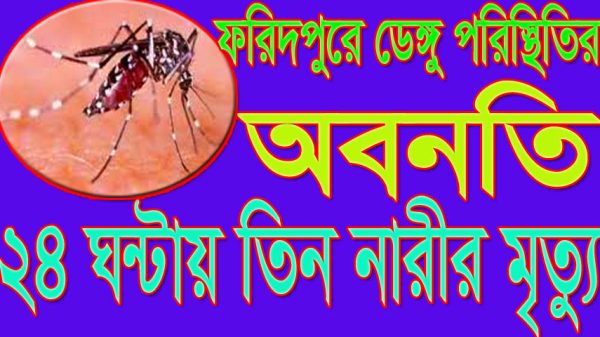 ফরিদপুরে ডেঙ্গু পরিস্থিতির অবনতি : ২৪ ঘন্টায় তিন নারীর মৃত্যু