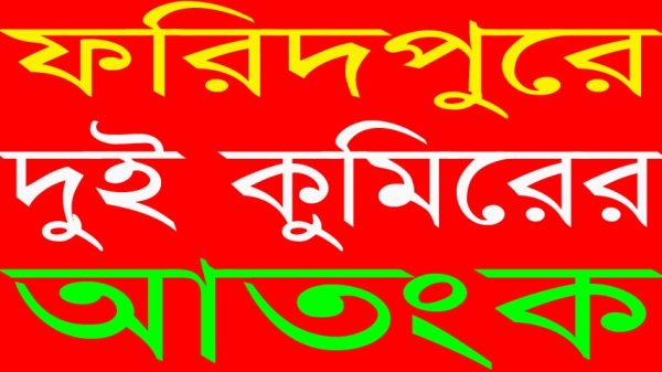 দুই কুমির আতংকে ফরিদপুরে নদের এক কিলোমিটার জুরে বেড়া