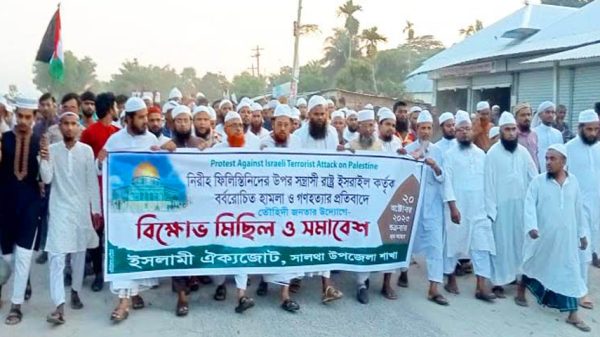 ফিলিস্তিনে হামলার প্রতিবাদে সালথায় বিক্ষোভ