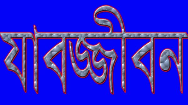 স্কুলের সামনে থেকে কিশোরীকে অপহরণ করে ধর্ষণের দায়ে যুবকের যাবজ্জীবন