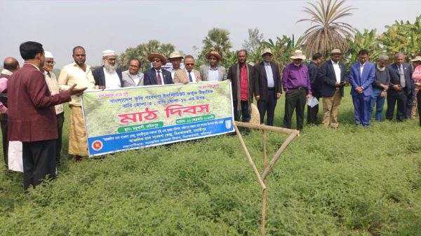 মধুখালীতে উচ্চ ফলনশীল জাতের ডাল আবাদের আহ্বান