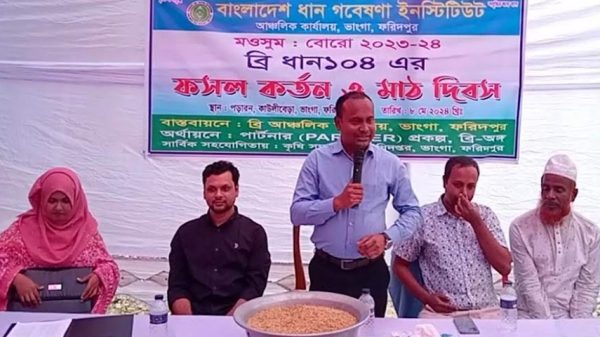 ভাঙ্গায় ব্রি- ধান ১০৪ এর মাঠ দিবস অনুষ্ঠিত